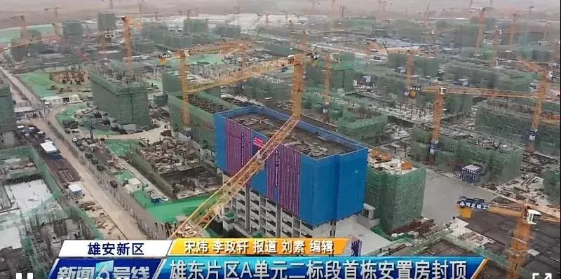 焦點！大將軍驚艷亮相雄安德維斯建博會，流量爆棚引圍觀！(圖7)